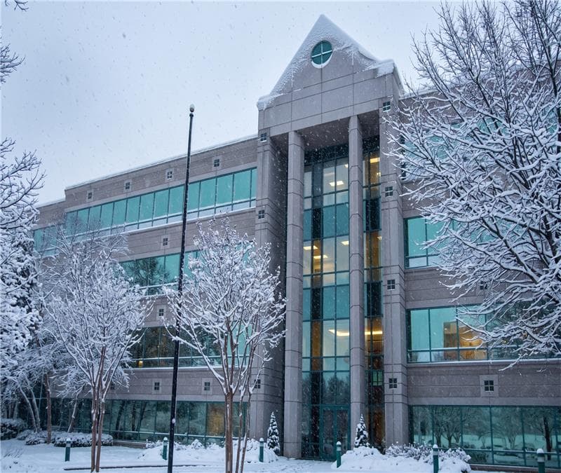 USA Subsidiary (USA) 1